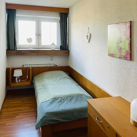 Gemuetliche Mit Schoener Aussicht Haidmühle